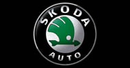 Чип-тюнинг(прошивка) двигателей автомобилей Skoda в Украине, увеличение мощности двигателей Skoda