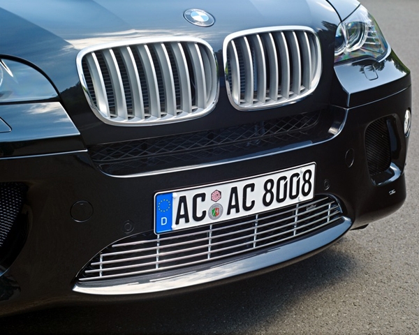 AC Schnitzer Chrome Front Grille BMW X6 E71 without ACC 09-14