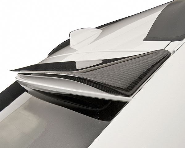 Hamann Roof Spoiler Carbon Fiber BMW X6 M 09-12