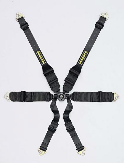 Schroth Racing Hybrid III HANS Red Belt